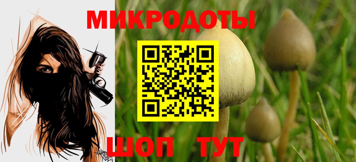 Псилоцибиновые грибы мицелий Тара