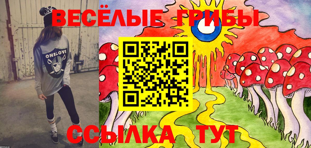 Галлюциногенные грибы Magic Shrooms  Вход с VPN  Псилоцибиновые грибы GOLDEN TEACHER  дарнет шоп  Тара 